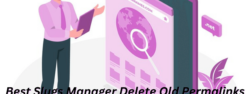 Best Slugs Manager Delete Old Permalinks from WordPress Database Plugin