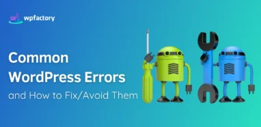 Common WordPress Error