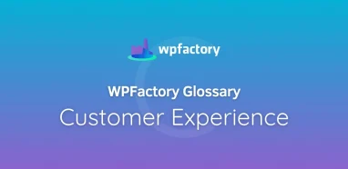 Customer Experience Meaning & Examples