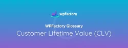 Customer Lifetime Value (CLV)