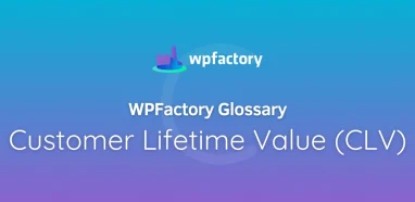 Customer Lifetime Value (CLV)