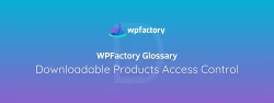 Downloadable Products Access Control