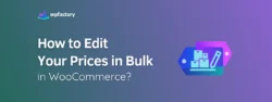 How to Edit Your Prices in Bulk in WooCommerce