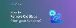 How to Remove Old Slugs from your Website