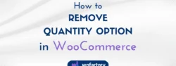 How to Remove Quantity Option in WooCommerce