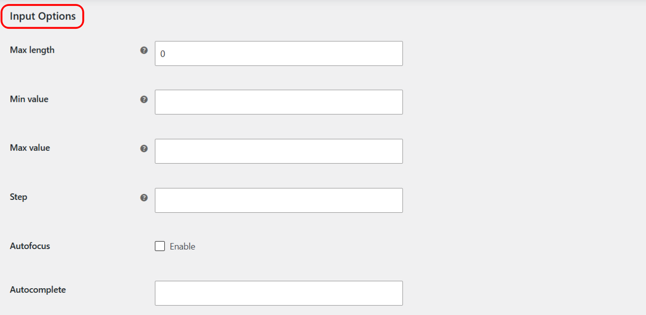 Input Options for a custom checkout field