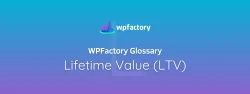 Lifetime Value (LTV)