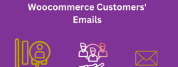 Why You Should Verify Your Woocommerce Customers Emails